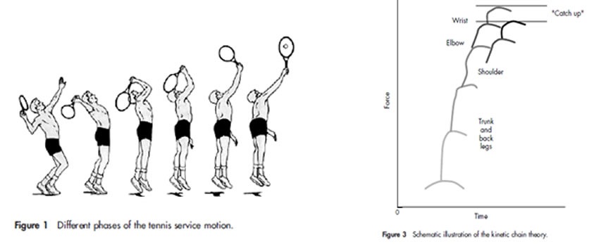 Different pahses of the tennis serve