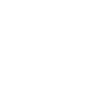 Australian Physiotherapy Association