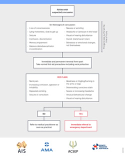 Concussion Management